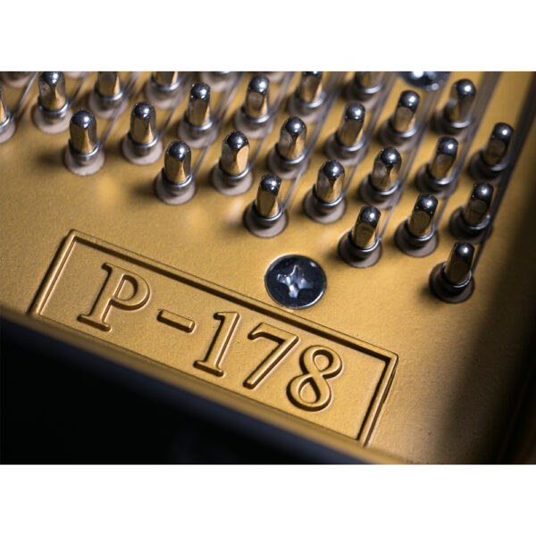 Wilh. Steinberg P178 New Acoustic German Grand Piano (P-178 / P 178 / Wilh.Steinberg / WilhSteinberg) - Image 7