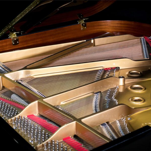 Schönbrunn XG162 New Acoustic German Grand Piano (XG-162 / XG 162 / Schonbrunn) - White - Image 4