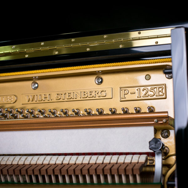 Wilh. Steinberg P-125E New Upright German Acoustic Piano (P125E / P 125E / Wilh.Steinberg / WilhSteinberg) - Image 3