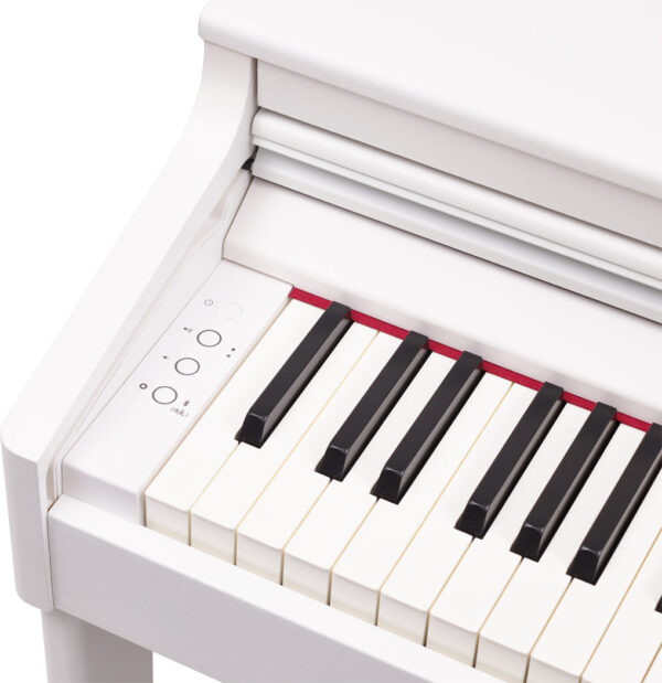 *LATEST* Roland RP-701 88-key Digital Piano Home Piano (RP701 / RP 701) - Image 10